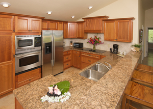 REESE, MI REMODELING CONTRACTORS