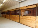 custom barn horses saginaw