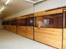custom barn horses saginaw